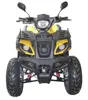 150cc/200cc/250cc Quad ATV (TKA200-B)