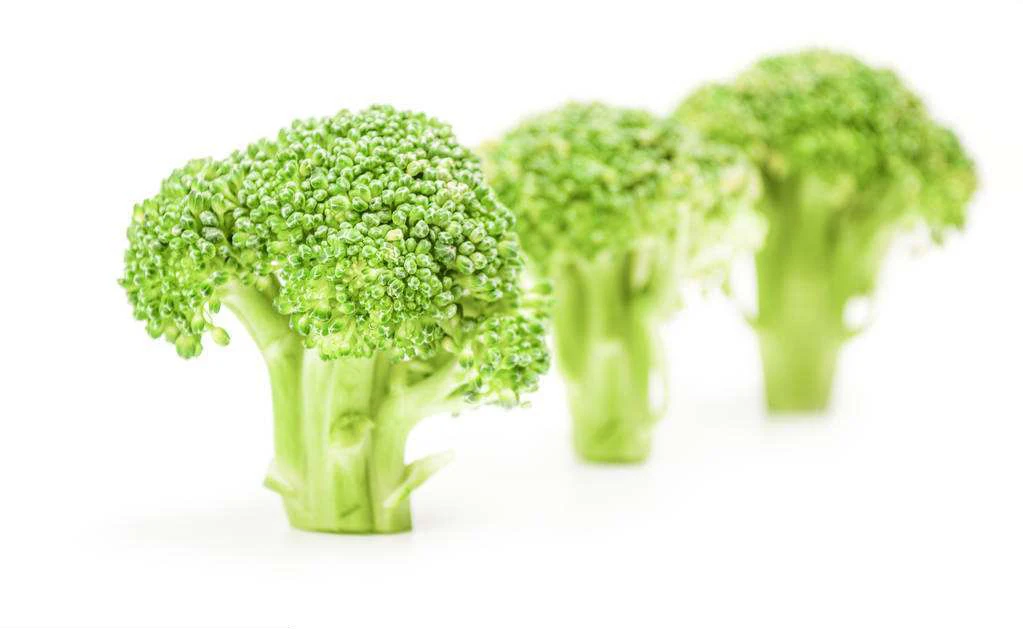 food grade broccoli sprout extract powder to anti-cancer