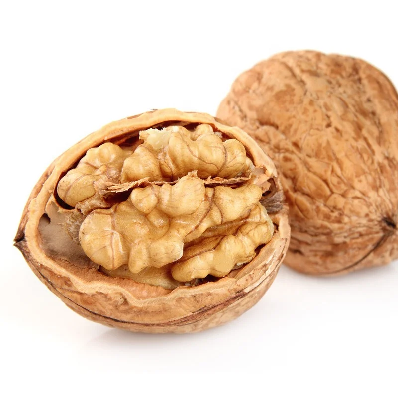 
bulk sell california walnuts xinjiang in shell 