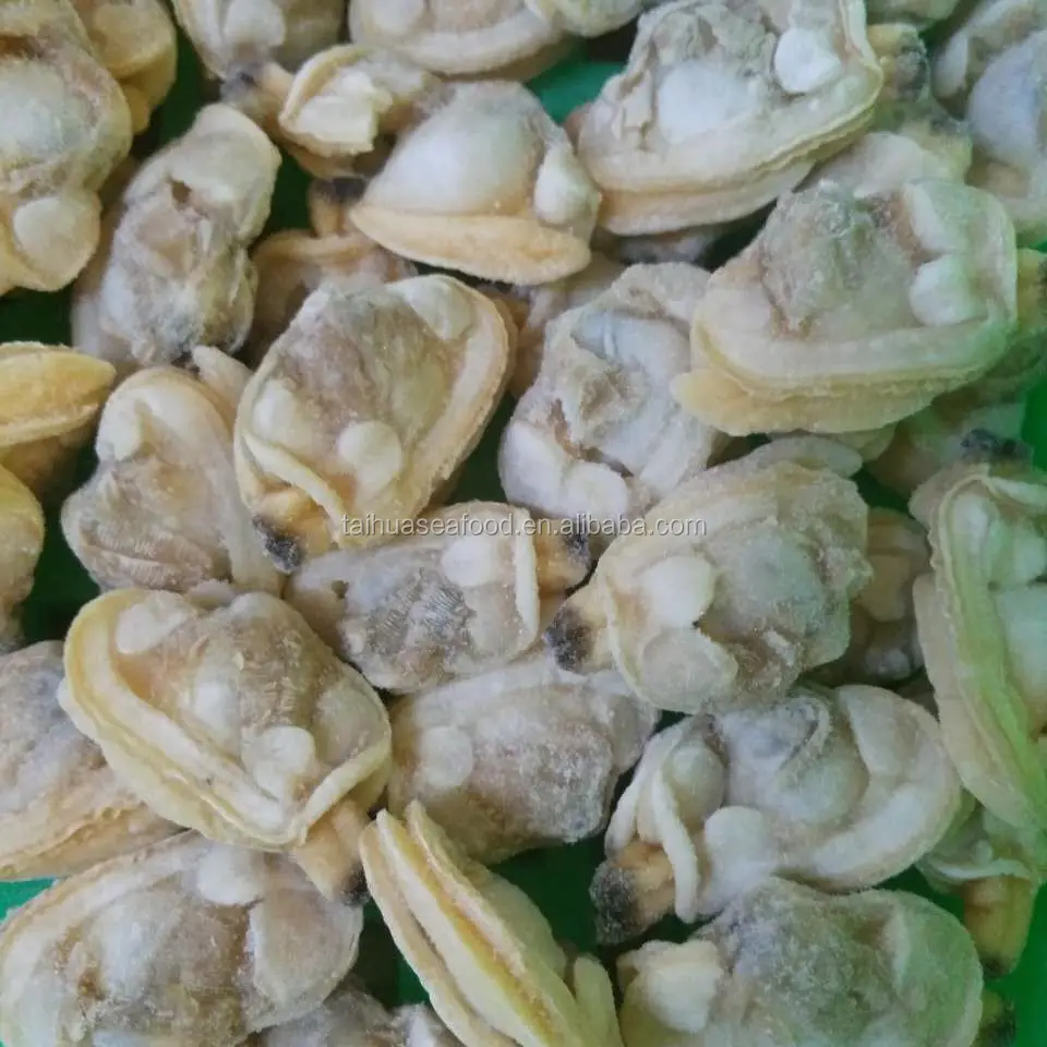 
frozen boiled short necked clam meat in nature taste 