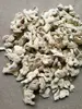 Hot Sale g new product ood quality high grade black ginger root