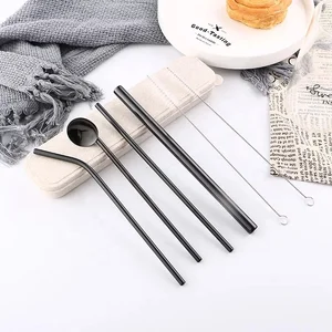 personal used stainless steel cool drinking spoon straw set with box