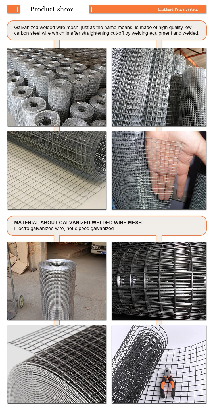 Wholesale Galvanized Welded Wire Mesh Rolls Buy Welded Wire Mesh Fence Roll,Galvanized Wire