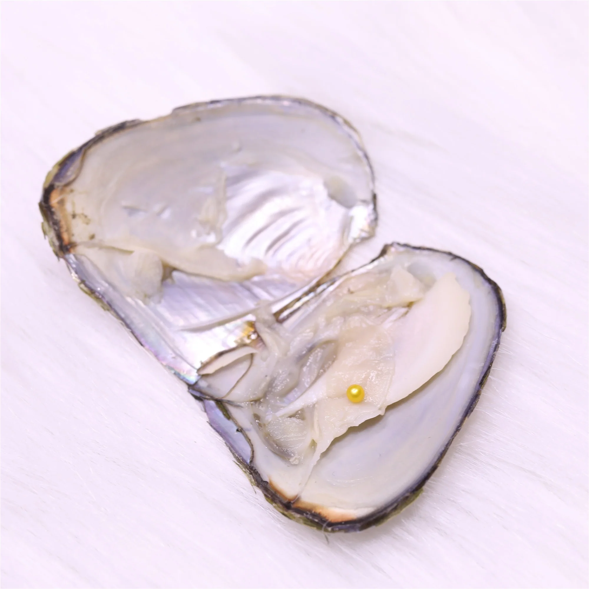 

Freshwater oyster shell,3-4mm Mini pearl round freshwater pearl single in oyster , natural little pearl, N/a