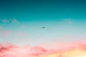  (1)