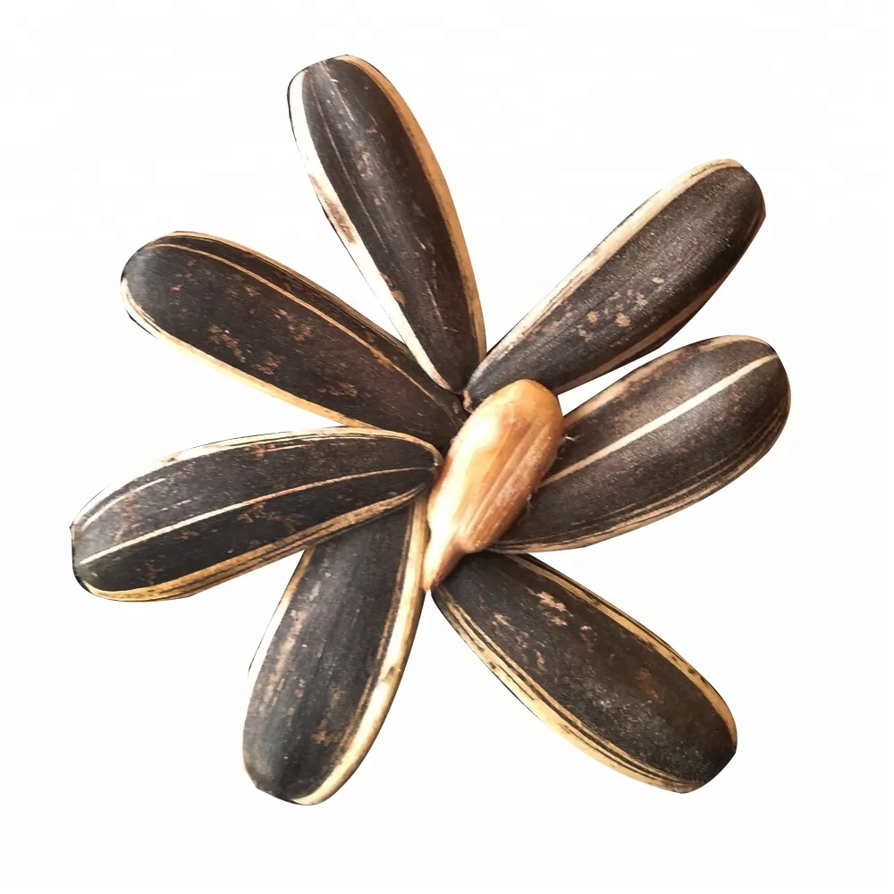 
Cheap Price Chinese Roasted Sunflower Seeds in Shell 