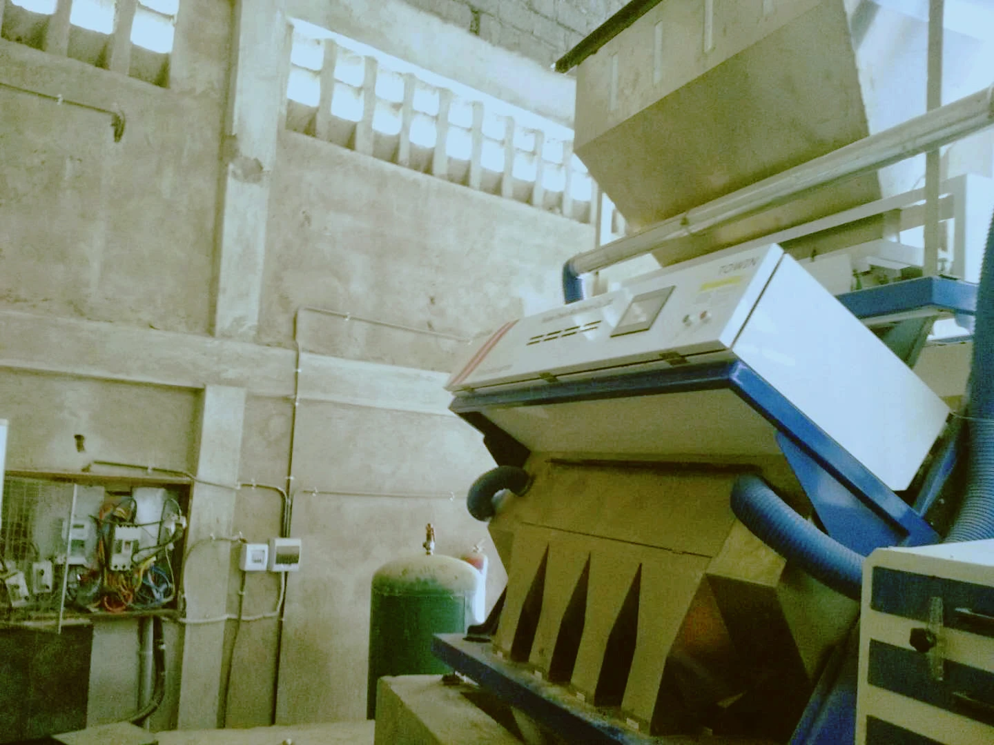 ccd quinoa seeds color sorter