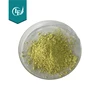 100% Natural Sophora Japonica Extract Quercetin