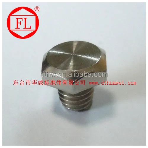 
SS304/316 high Quality stainless hex bolt 