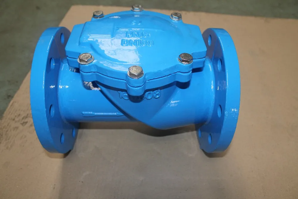 flexible disc check valve.JPG