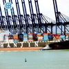 Professional Sea Shipping Company from China