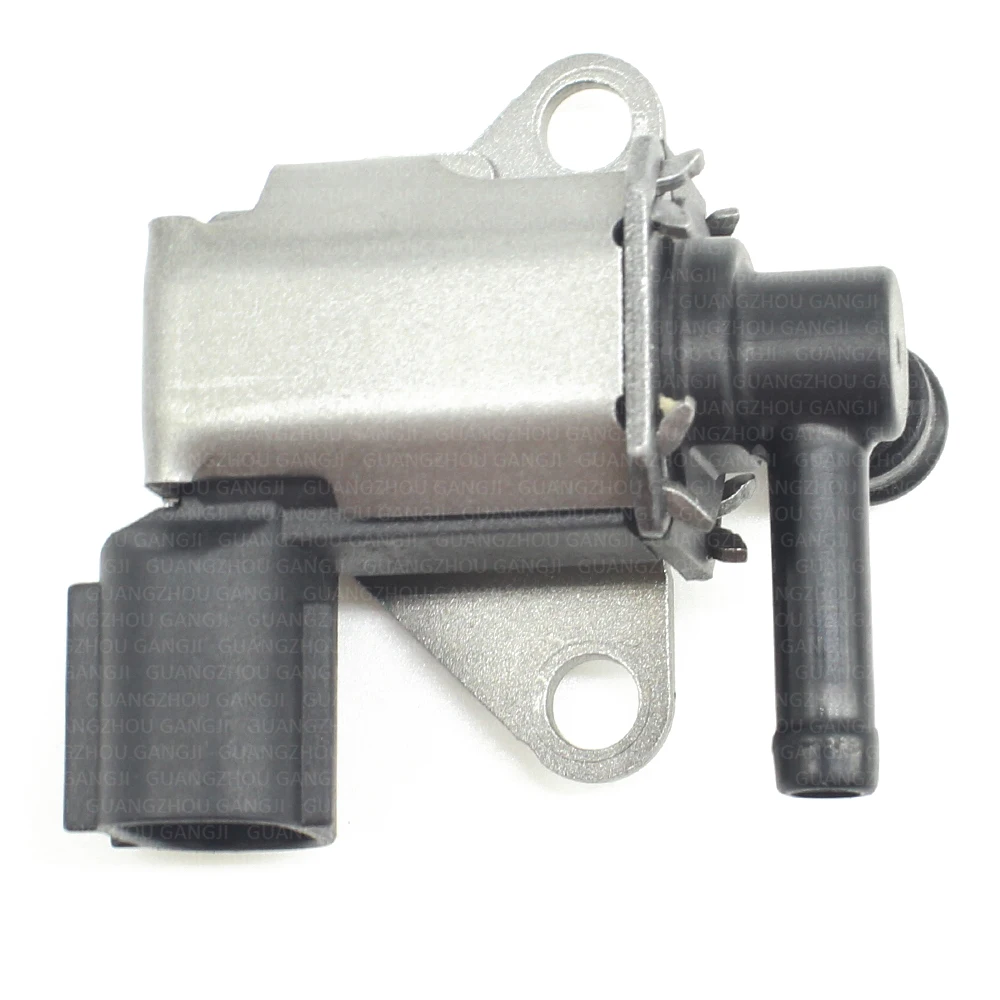 K5T46680--2.jpg