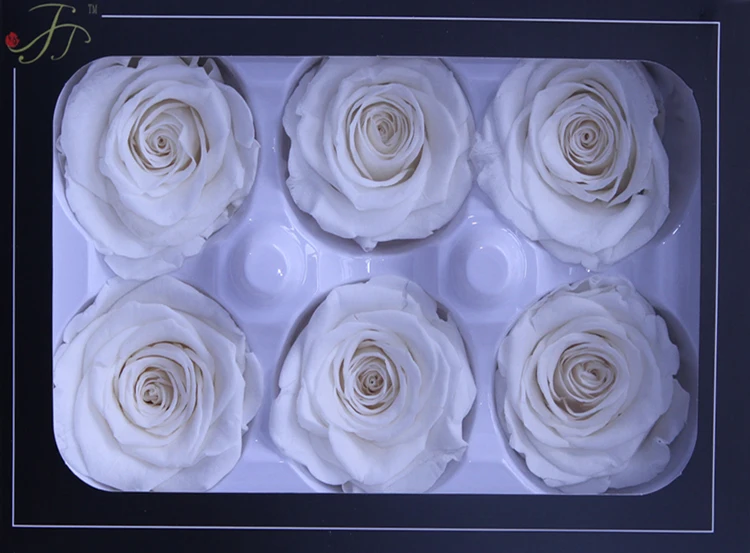 stabilized flowers.jpg