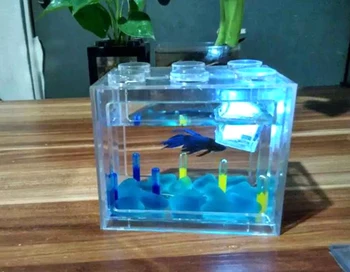 fish mini aquarium