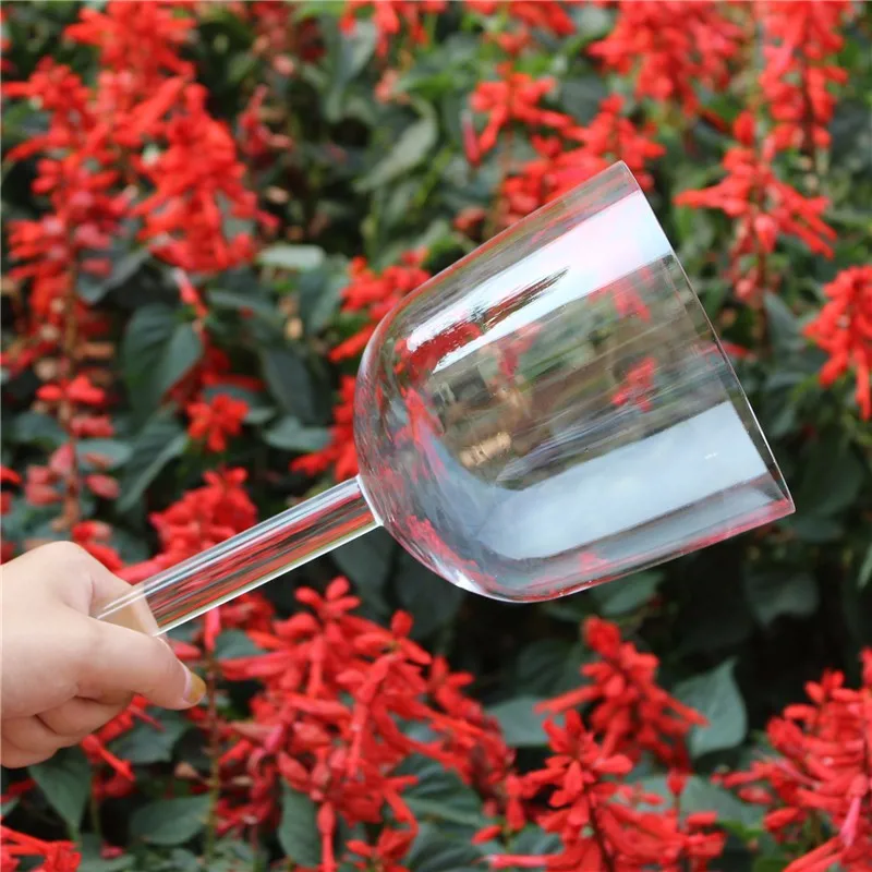 crystal singing bowl with handle (33)