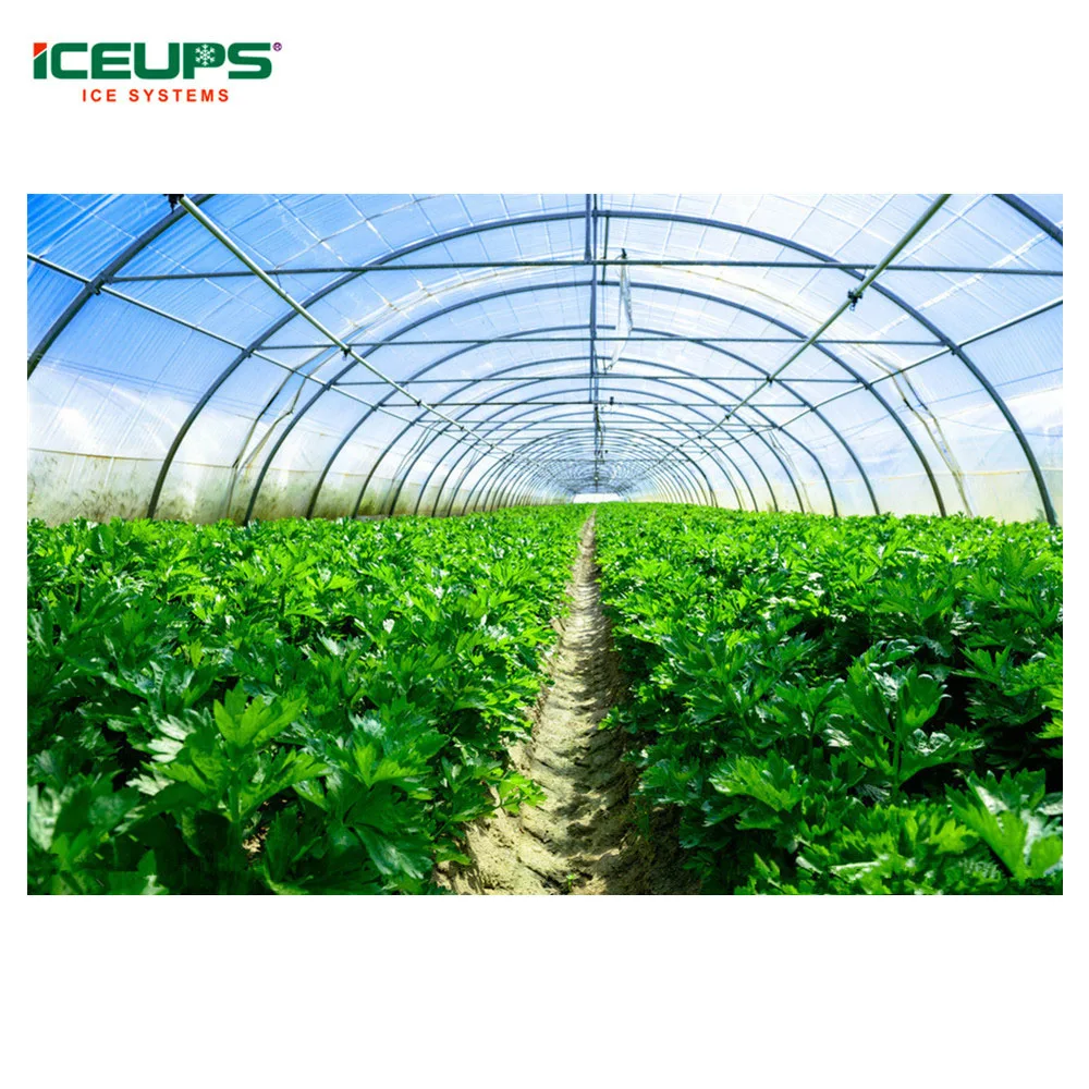 Vacuum Cooler System Precooling Of Fruits And Vegetables Buy Vacuum