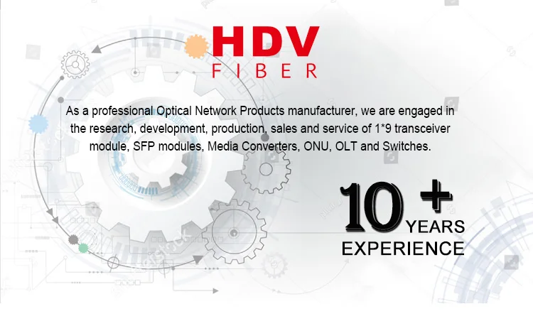 Fast Delivery 10/100M Dual Fiber Zte Fiber Media Converter