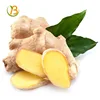 Chinese dry ginger importers from europe