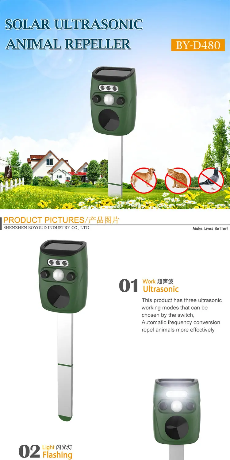 BY-D480-_01.jpg