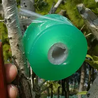 

3CM Transparent Grafting Tape Stretchable Self-adhesive For Garden Tree Seedling