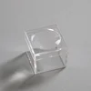 dust-proof potable small plastic magnifier package box for fossil mineral acrylic Geodes rock display magnifier box