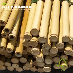 bamboo poles cane sticks