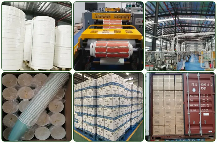 BPI Certified Biodegradable Compostable PLA Paper Cups