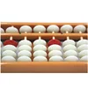 Student Abacus