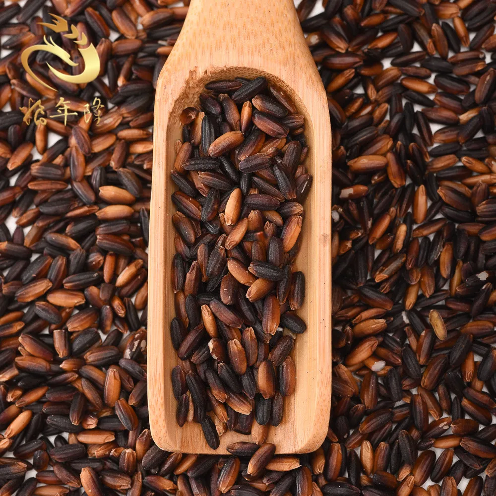 
100% Wholesale Glutinous rice Pakistan Quality Black Sticky Rice 