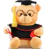 Customized 2019 Stuffed Animal Personalized Graduation Bear Plush