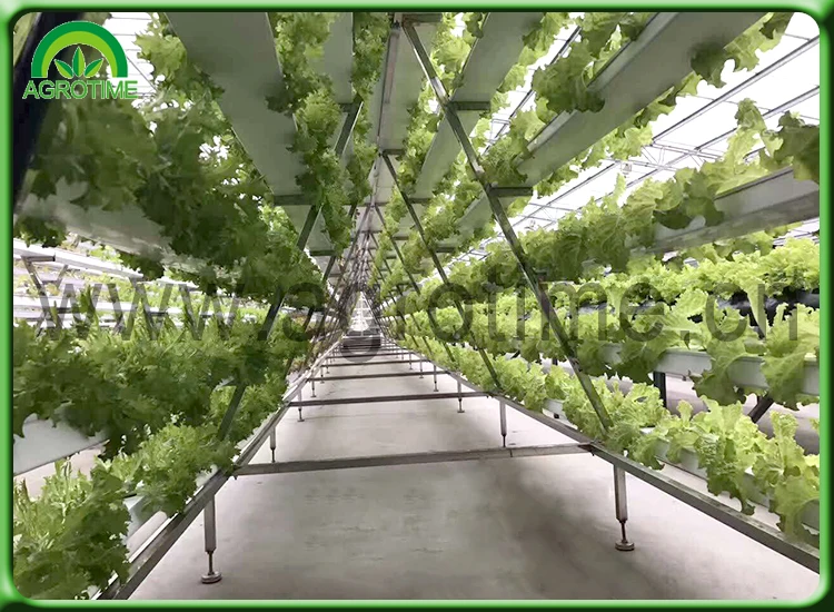 hydro gardening store.jpg