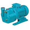 check how a liquid ring vacuum pump works