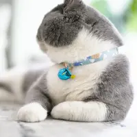 

Cute Cheap Dog Collars,Cat Collar,Pet Collar With Bell Pets Product Elastic Cat Collar Bells Nylon Kitten Supplies Product