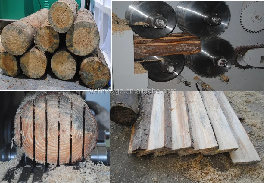 log multiple rip saw.jpg