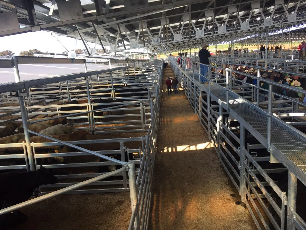 25 Panel+1 Gate Round Yard 17m Diameter Cattle Panels Fleet Farm Buy