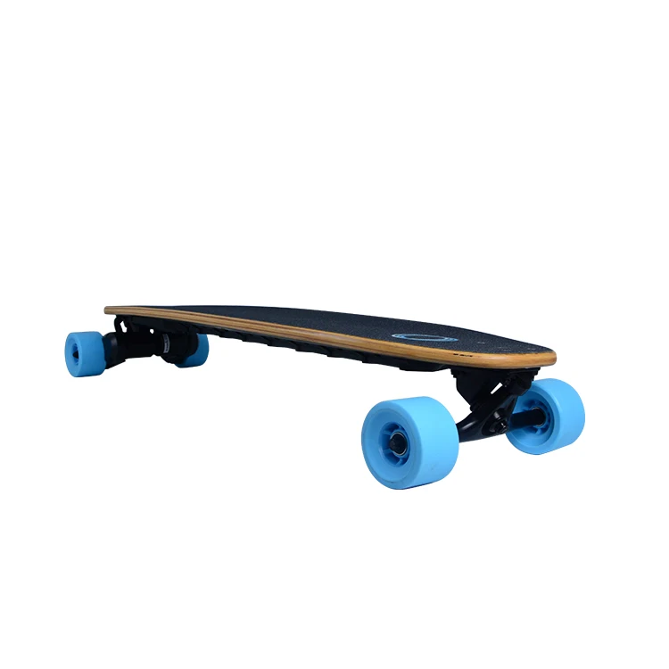 Custom Powerful 1200w Dual Belt Drive Electric Longboard Skateboard For