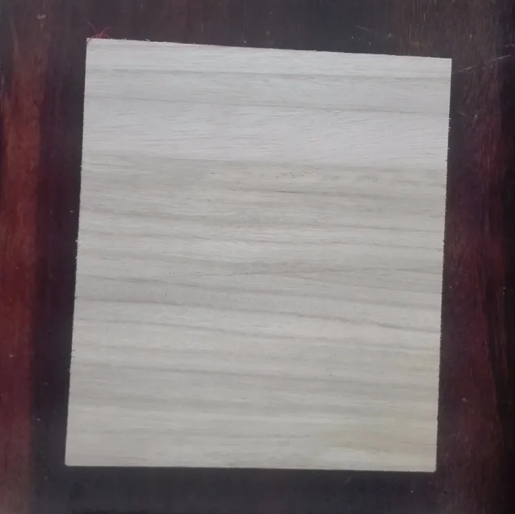 IMG_20161118_133248_