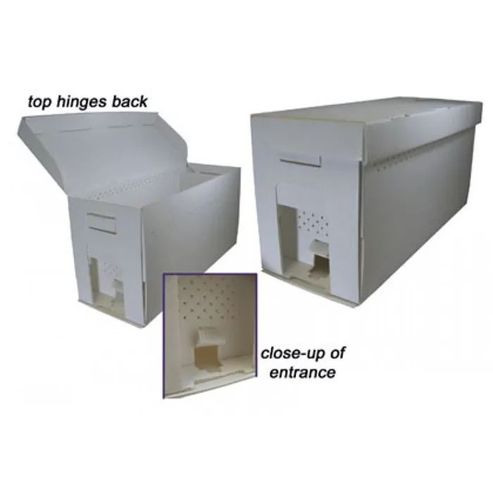 Pp Nuc Honey Bee Boxes Foam Bee Hive Polystyrene Plastic Beehive Buy