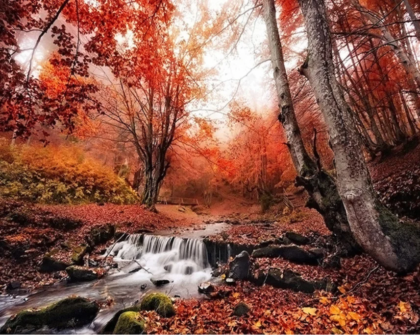 

5D DIY Diamond painting Maple Scenery Full Round Diamond embroidery Cross stitch crystal Wall Painting