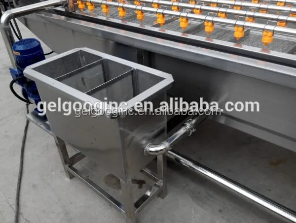 1000KG/H Fruit and Vegetable Washing Machine - Dates Line