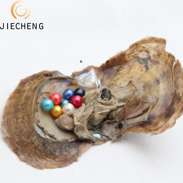 

Bulk wholesale 6-7mm vacuum-packed mixed colors saltwater akoya round pearl oysters with pearl, 24 color