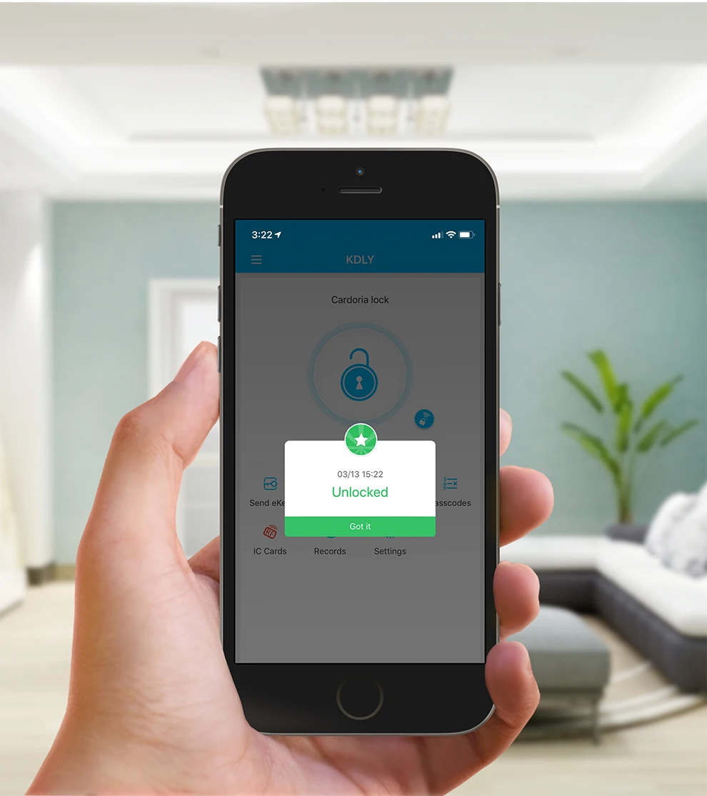 Cardoria WiFi Keyless App Digital Door Lock Bluetooths Password Lock Pin Code Electronic Smart Door Lock
