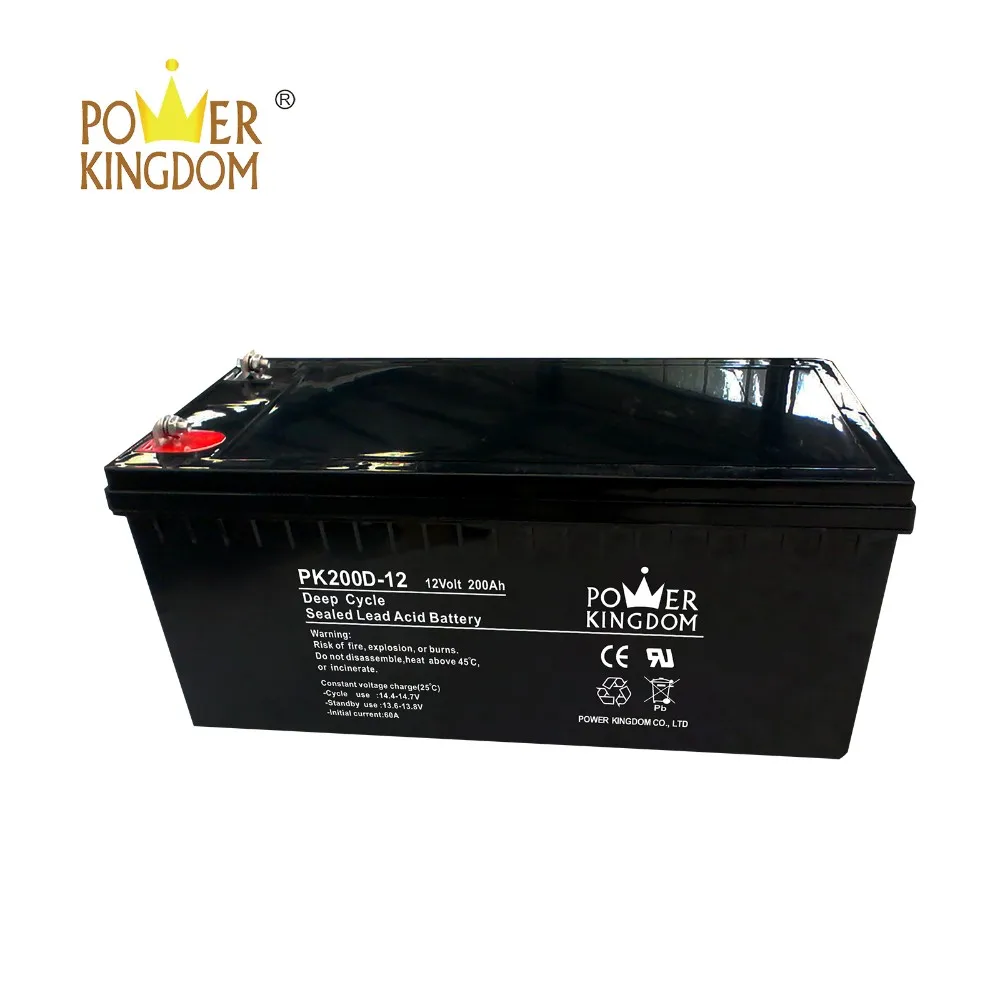 Power Kingdom Heat sealed design 80 amp deep cycle battery supplier vehile and power storage system
