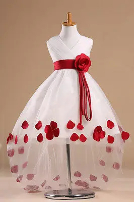 2015 Girls Kids Princess Flower Petals Party Wedding font b Fancy b font Formal Gown font