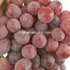 new season high quality red globe grapes
