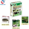 Educational folding cube puzzle for study animals life cycle