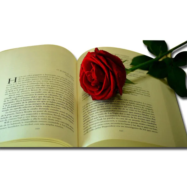 
Hot sale paperback english reading book printing 