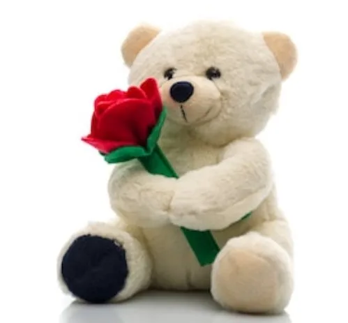 bear with a rose
