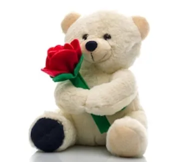 valentine rose teddy bear