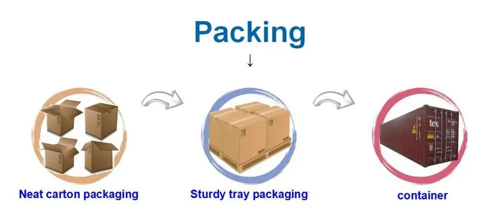 EB1019 Polyester Tie Down Ratchet Lashing Cargo Strap